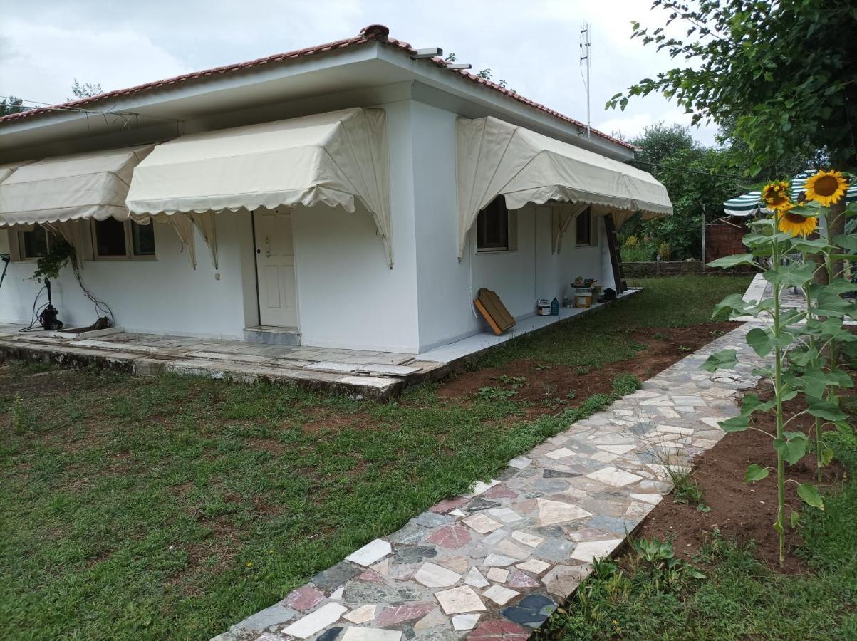 Thassossweethome Bagian luar foto